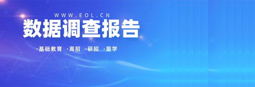 数据调查报告