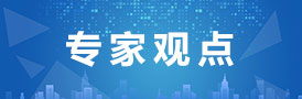专家观点
